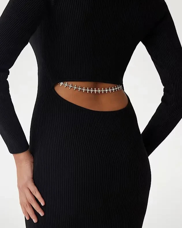 Fitted knit Céline Dress